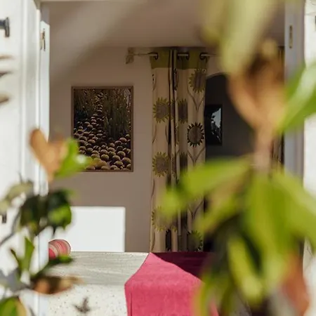 La Croix-valmer Sleeps 7 Pool Wifi * La Croix-Valmer